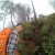 renda Avatar