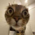 Rafsablog.id Avatar