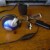 Blackenedwing Avatar