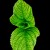 Phohan Avatar